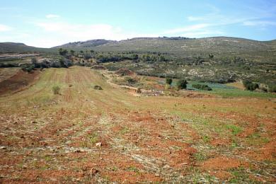 Agricultural Land Plot Sale - ANO SOULI, ATTICA