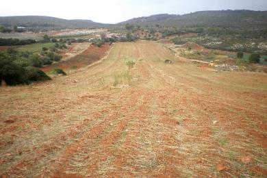 Agricultural Land Plot Sale - ANO SOULI, ATTICA