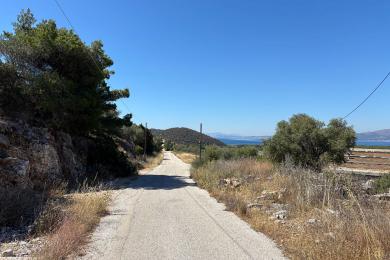 ΓΩΝΙΑΚΟ ΟΙΚΟΠΕΔΟ ΣΕ ΔΙΚΑΣΤΙΚΑ