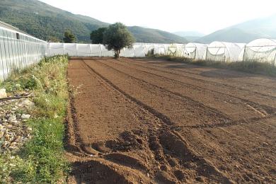 Agricultural Land Plot Sale - MARATHONAS, ATTICA